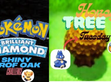 Live Shiny Hunting heracross  (Portrait)