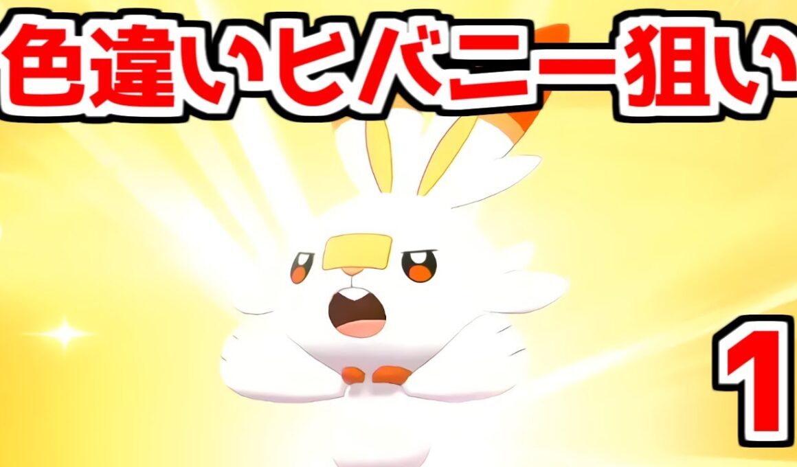 【ポケモン剣盾】色違いヒバニーをゲットしたい 1【ポケモンソード・シールド】