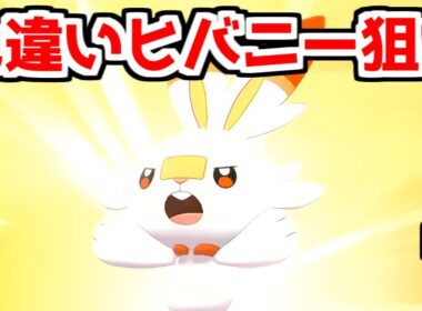 【ポケモン剣盾】色違いヒバニーをゲットしたい 1【ポケモンソード・シールド】