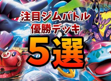 インフェルノX発売！メガリザードンXやヒカリ採用のメガフシギバナ、ストリンダー採用のメガサメハダー、鉄壁の耐久力のエンペルトなど注目ジムバトル優勝デッキ5選【ポケカ考察】