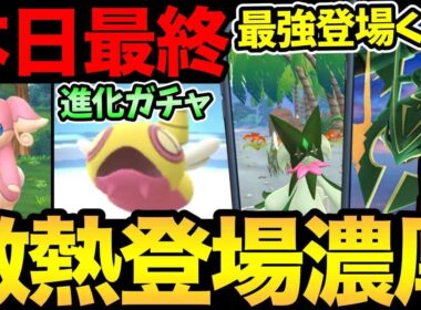 メガレックウザでほぼ決まり！？謎の新フィールド発見？本日イベント最終日！色々お忘れなく！【 ポケモンGO 】【 GOバトルリーグ 】【 GBL 】【  】