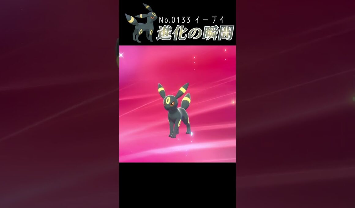 【ポケモン剣盾】イーブイ 進化の瞬間 #shorts【ブラッキー編】