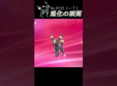 【ポケモン剣盾】イーブイ 進化の瞬間 #shorts【ブラッキー編】