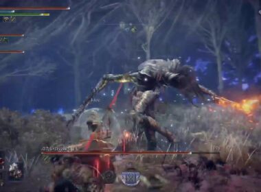 ELDEN RINGナイトレイン　ダストダスレイン深度4　(無声垂れ流し)