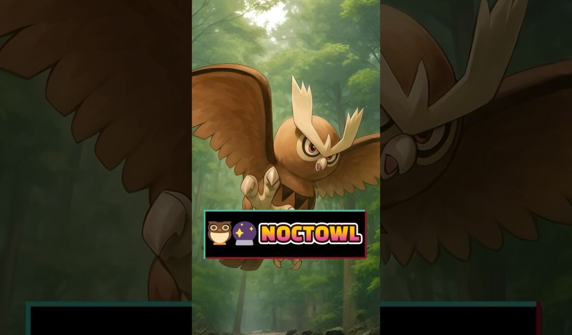 🦉🔮 Noctowl: El emperador nocturno