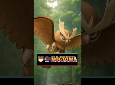 🦉🔮 Noctowl: El emperador nocturno