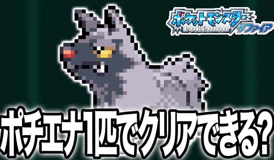 ポチエナ1匹だけでポケモンサファイアをクリアするぞ！【生配信】 #shorts  #縦型配信