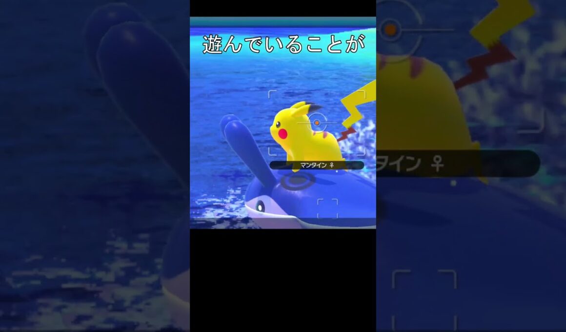 マッギョに乗ろうとする、ピカチュウ　#ポケモン #ポケモンスナップ #ピカチュウ #マンタイン