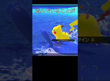 マッギョに乗ろうとする、ピカチュウ　#ポケモン #ポケモンスナップ #ピカチュウ #マンタイン