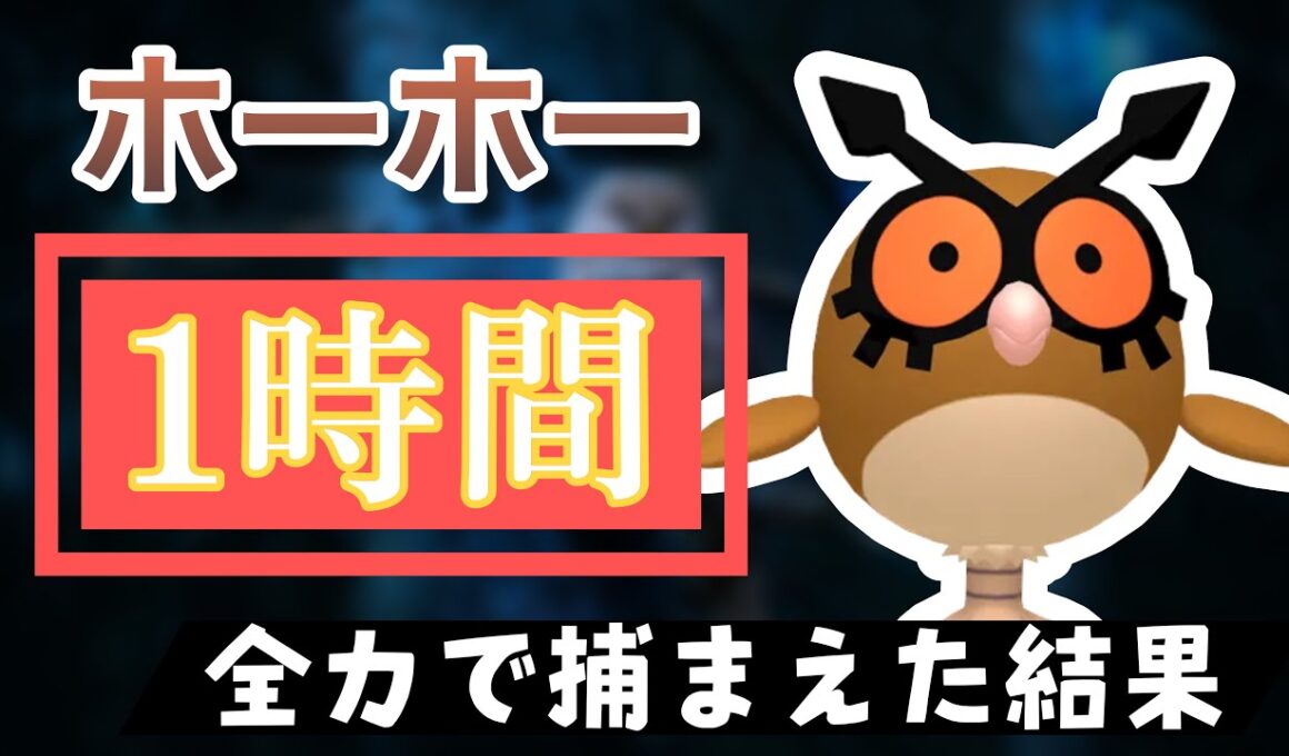 【ポケモンGO】田舎でホーホーのスポットライトアワーをやった結果