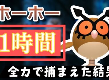 【ポケモンGO】田舎でホーホーのスポットライトアワーをやった結果