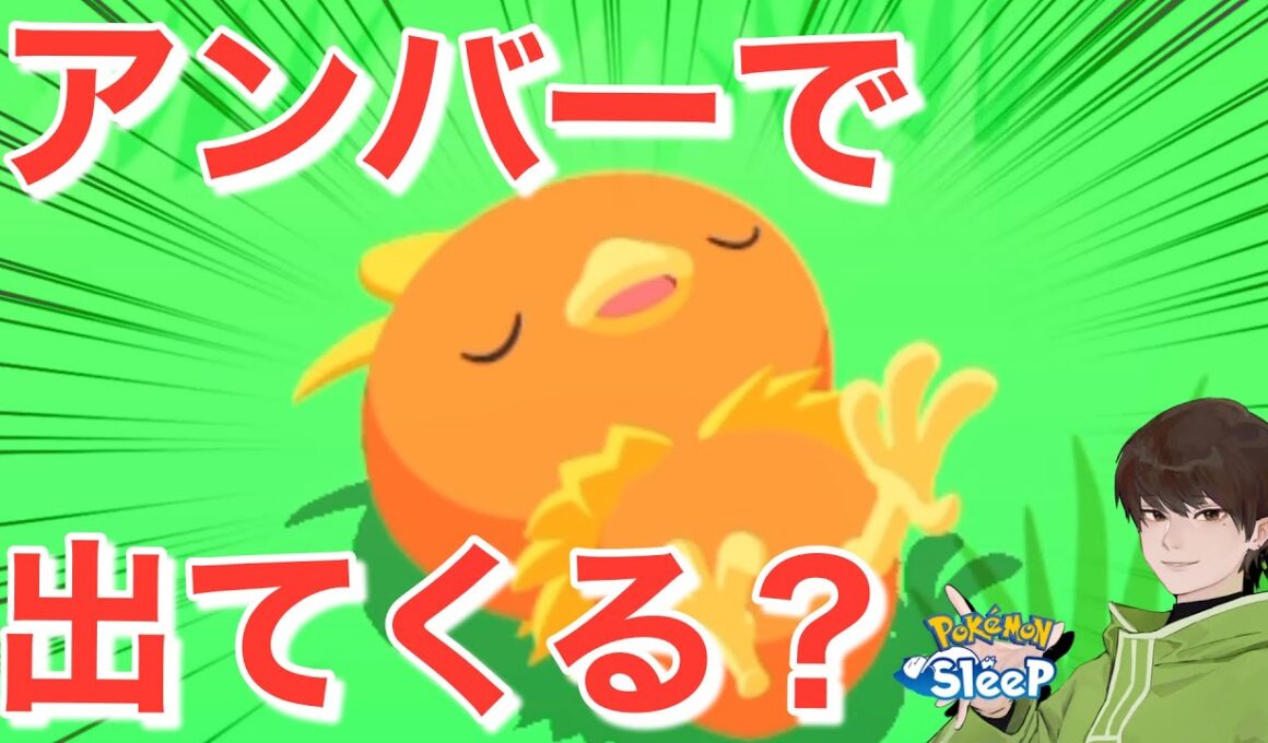 アチャモの活躍はいつになるかな？🤔【ポケモンスリープ】無課金リサーチ794,779日目