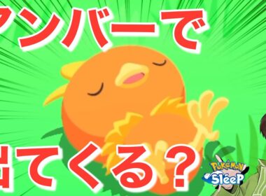 アチャモの活躍はいつになるかな？🤔【ポケモンスリープ】無課金リサーチ794,779日目