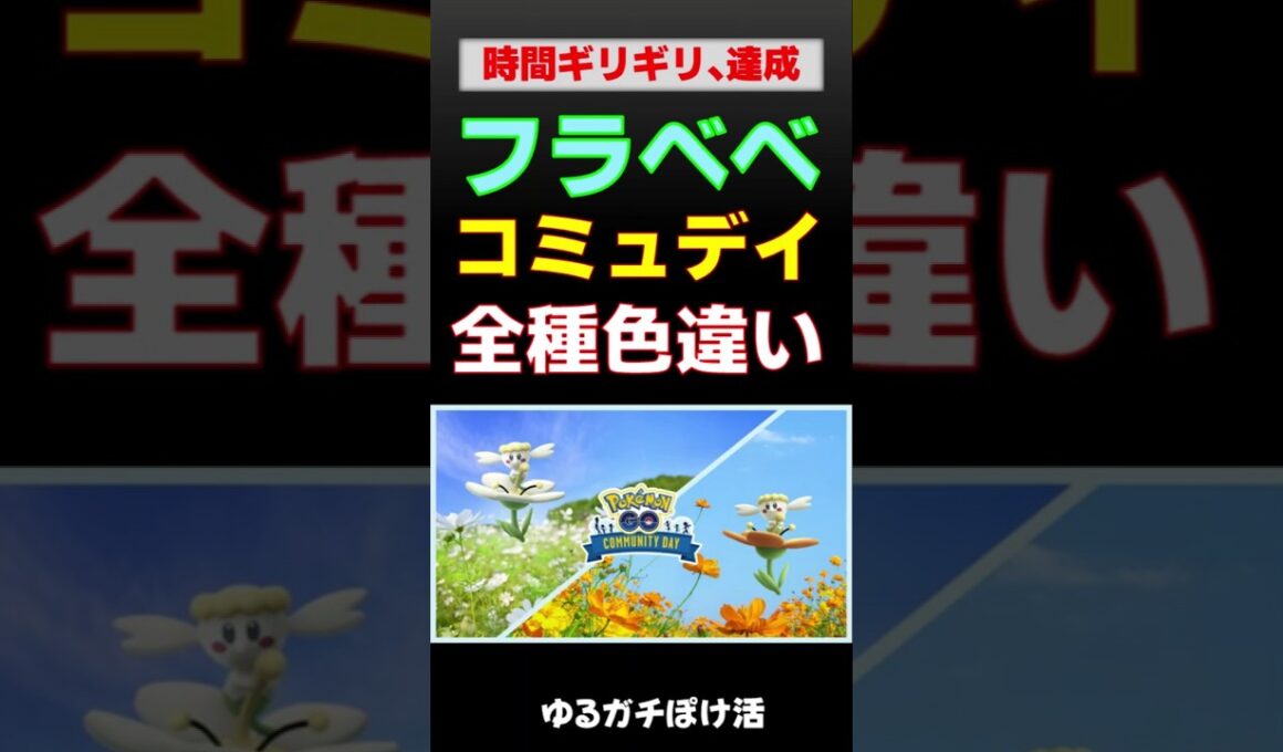 【終了5分前達成！フラベベ 色違い全種クリア】2025年9月14日コミュニティ・デイにて #ポケモンgo #ポケモン #pokemongo #色違い #shinypokemon #フラベベ