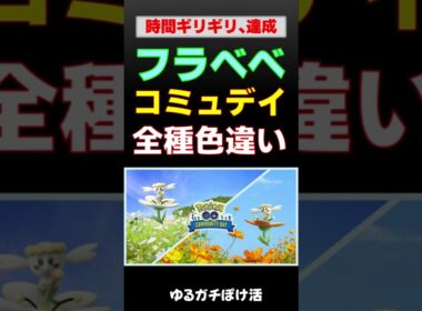 【終了5分前達成！フラベベ 色違い全種クリア】2025年9月14日コミュニティ・デイにて #ポケモンgo #ポケモン #pokemongo #色違い #shinypokemon #フラベベ