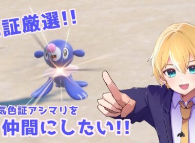 【#ポケモンSV】雰囲気色証アシマリを仲間にしたい!!【ポケモンスカーレット／ポケモンバイオレット】