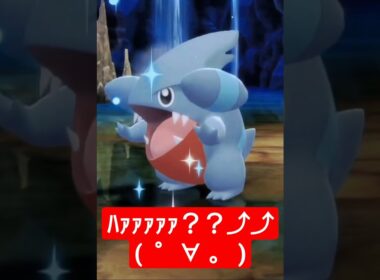 【ポケモンBDSP】捕獲確定演出…！！？【フカマル編】