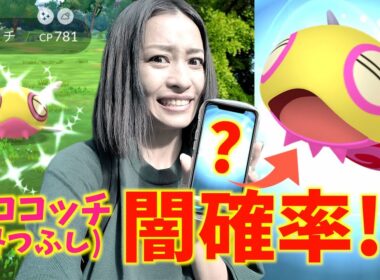 超激レアの「色違いノココッチ」は闇確率！？ノーマルセンセーショナル初日レポート！！【ポケモンGO】