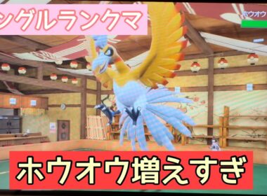 ホウオウ増えすぎ【ポケモンSV】【直撮り】