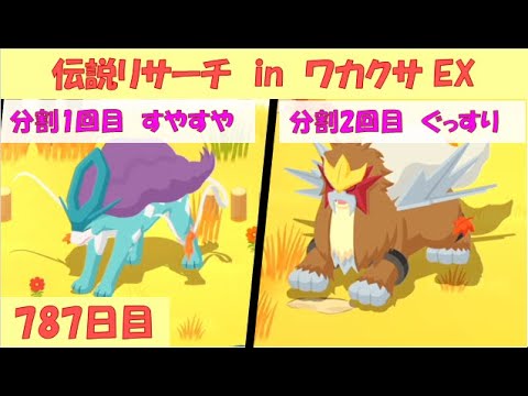 ポケスリ睡眠記録 2025/9/13(787日目)  ライコウ・エンテイ・スイクンリサーチ in ワカクサ本島 EX(6日目)【ポケモンスリープ】