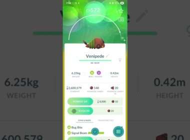 shiny Venipede! #pokemongo