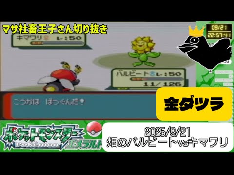 【マサダツラ】畑のバルビートvsキマワリ【20250921】