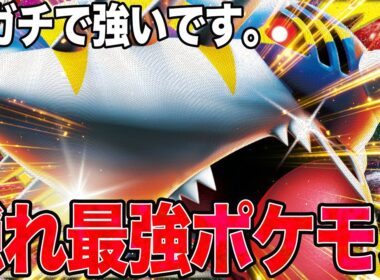 【ガチ】誰も注目してなかったけど…ほんとに強いメガサメハダーを使ってみた😼