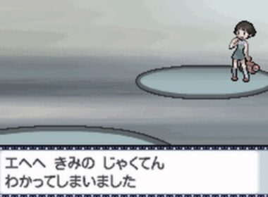 工場攻略日誌１０日目（バトルファクトリー攻略までの日々）【ポケットモンスターハートゴールド】