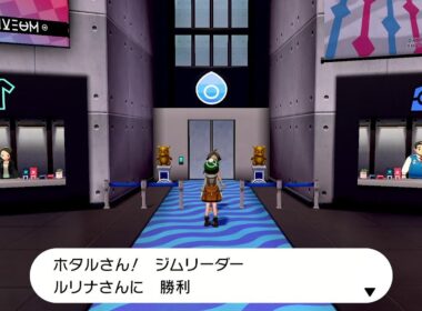 色違いジラーチ＋αのポケモンシールドpart1続き