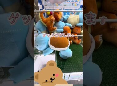 ゼニガメに挑戦❗️６回目🐢  #shorts