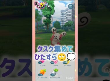 パッチール✨️🌟💫💖⭐️ ⸜( *´꒳`*)ฅ"ฅ( *´꒳`*)⸝ #pokemongo