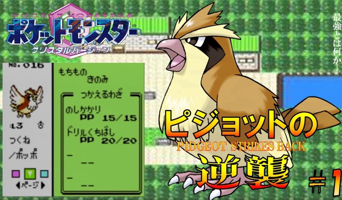 【ポケモン1匹縛りプレイ】ピジョットにドリルくちばしとのしかかりを覚えさせてジョウトを旅してレッドに逆襲する!!ポケモン1匹縛りプレイ強化ポッポきみにきめた!! part1【ゲーム実況】【縛りプレイ】