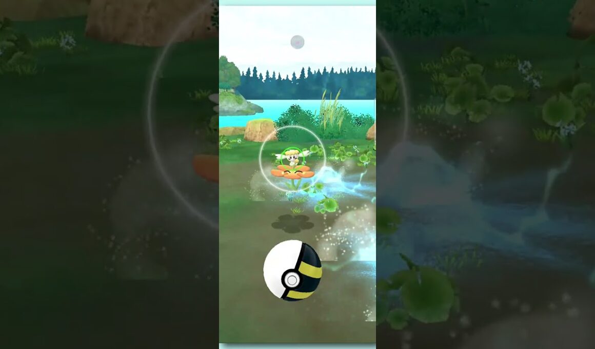 【ポケGO】フラベベのコミュニティデイで１００個体をゲット！！【S24】  #ポケモンGO