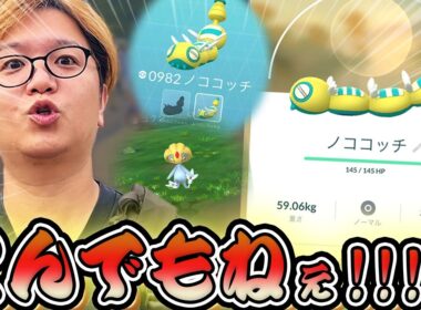 コココッチのみつふし一発でゲットする瞬間をご覧ください【ポケモンGO】