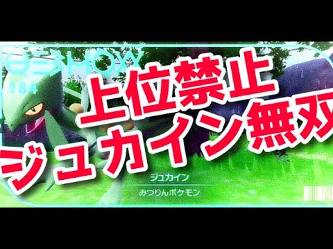【ジュカイン好き大歓喜】トカゲで暴れる仲間大会
