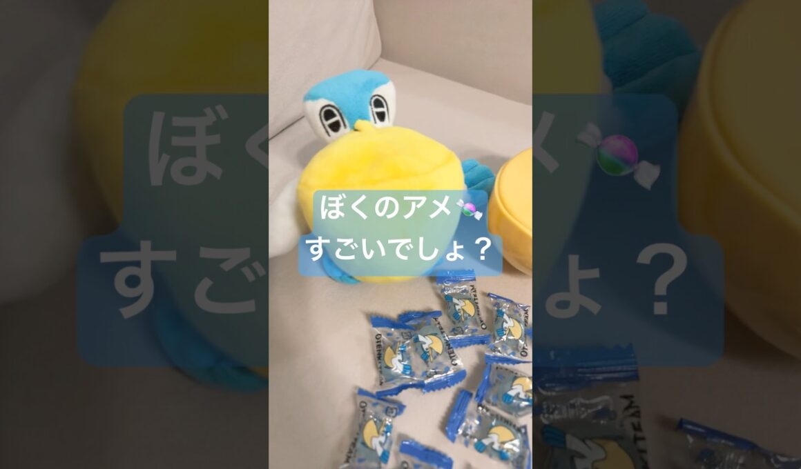 【ペリッパー】ぼくのあめすごいでしょ？【ペリッパーのあめうけざら】#ポケモン #ポケモンsv #pokemon