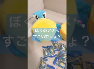 【ペリッパー】ぼくのあめすごいでしょ？【ペリッパーのあめうけざら】#ポケモン #ポケモンsv #pokemon