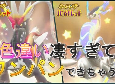 色違いコライドン・ミライドンをみんなはゲットした？さっそく使ってみたよ！　#Pokémon #ポケモン