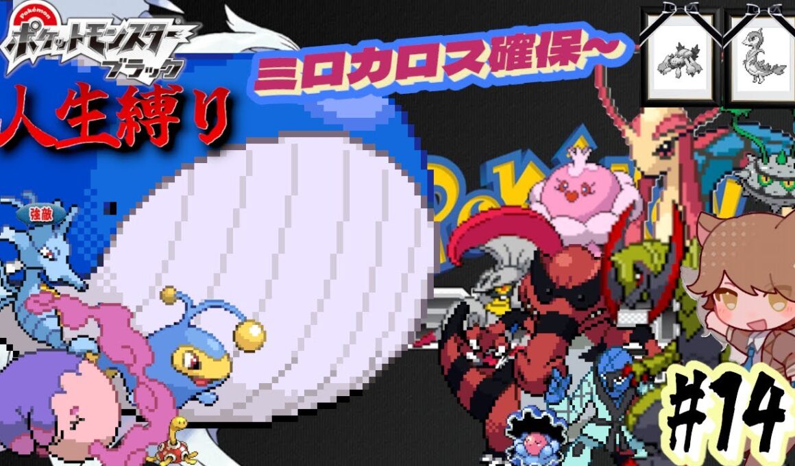 【ポケモンBW 人生縛り】夢の跡地「ポケットモンスター ブラック/ホワイト」#14《初見歓迎》
