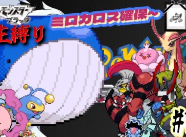 【ポケモンBW 人生縛り】夢の跡地「ポケットモンスター ブラック/ホワイト」#14《初見歓迎》