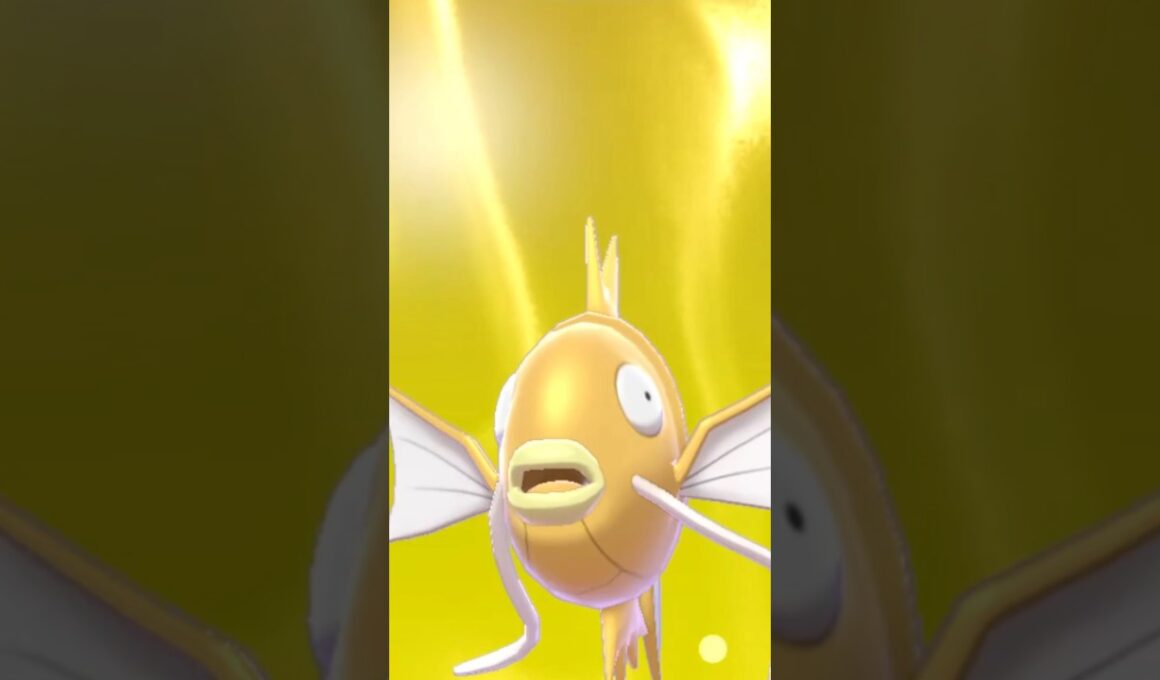 ポケモンキャンプ　コイキング#shorts #short #shortsvideo #shortsfeed #shortvideo #youtubeshorts #youtubeショート #コイキング