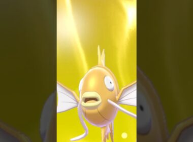 ポケモンキャンプ　コイキング#shorts #short #shortsvideo #shortsfeed #shortvideo #youtubeshorts #youtubeショート #コイキング