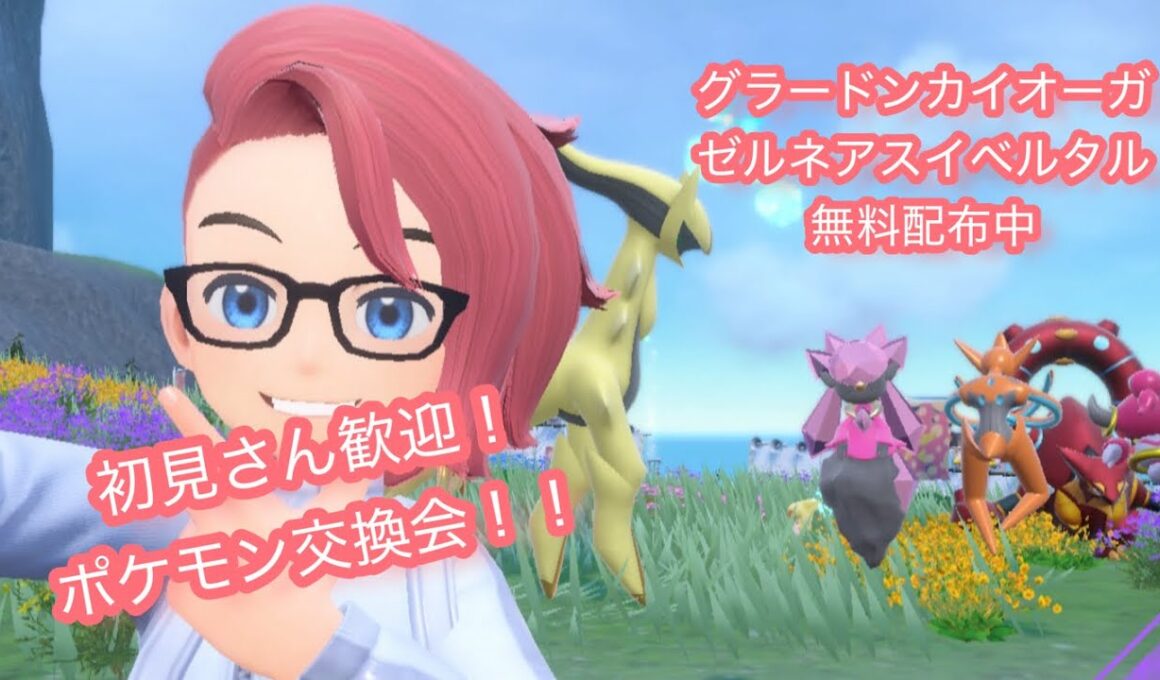 通常グラードンカイオーガゼルネアスイベルタル無料配布！ポケモンsv交換会＆バトル会＆ブルレク＆ダイアド会59