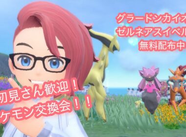 通常グラードンカイオーガゼルネアスイベルタル無料配布！ポケモンsv交換会＆バトル会＆ブルレク＆ダイアド会59