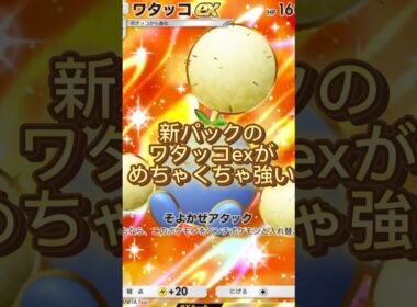 新パックのワタッコexがめっちゃ強い