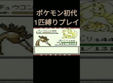 【ポケモン初代】ポケモン初代1匹縛りプレイ!!オニスズメver【縛りプレイ】#ポケモン初代 #縛りプレイ #オニスズメ #オニドリル #ゲーム実況