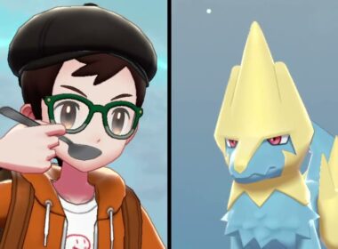 ポケモンキャンプ　ライボルト　#ポケモン #ポケモン剣盾 #pokemon #おうち時間 #games #ゲーム #ライボルト