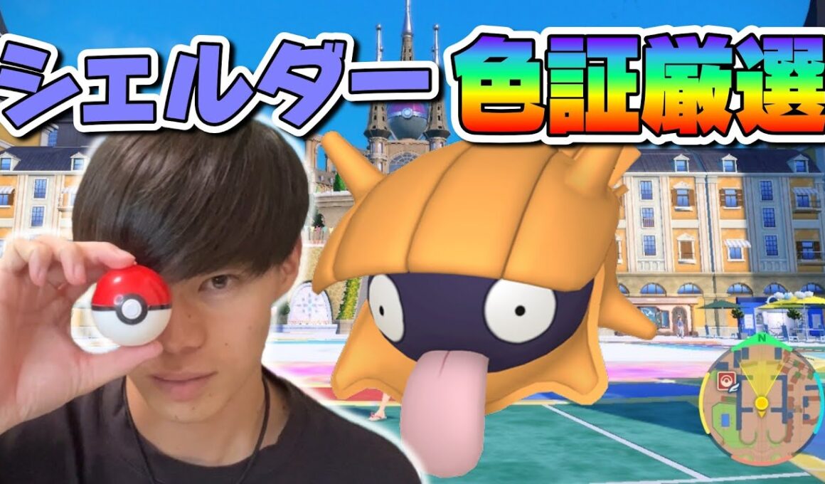 シェルダーの当たり大量発生引いたので厳選する【ポケモンSV】