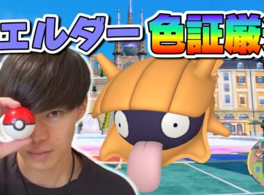 シェルダーの当たり大量発生引いたので厳選する【ポケモンSV】