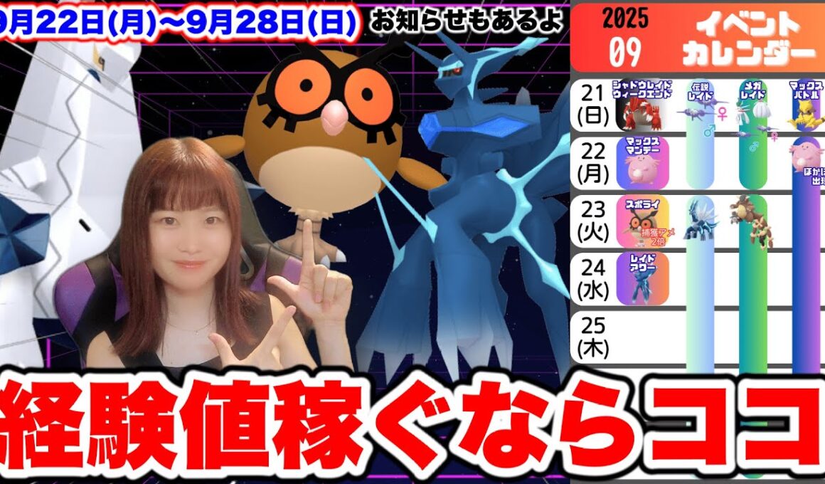 【週間情報】ジュラルドン・ホーホー狙い目‼️最後にお知らせも